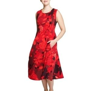 Alessandra Belle Sleeveless A-Line Floral Printed